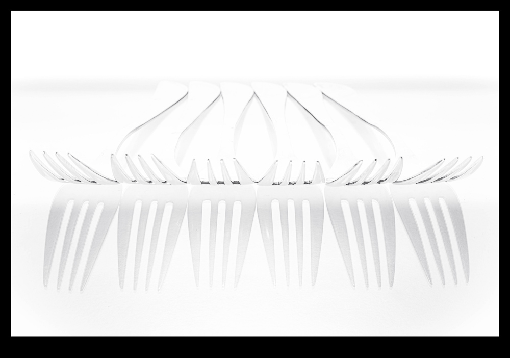 Monatsbilder August 2025